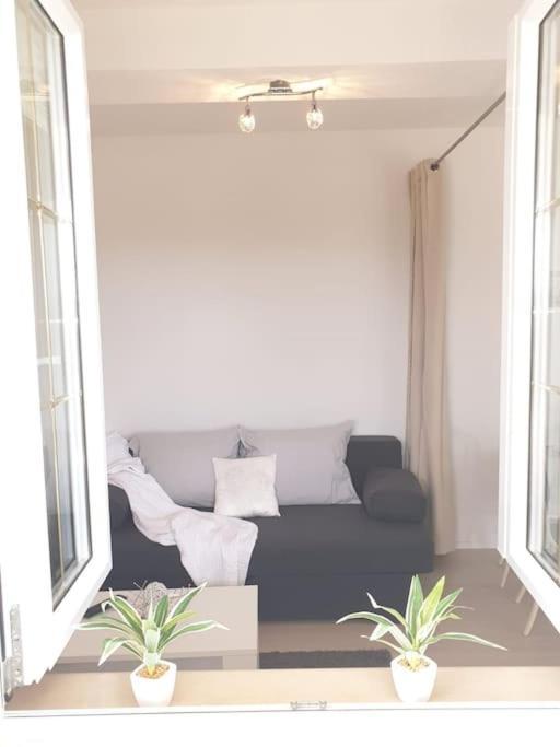 Apartments Regina 볼 외부 사진