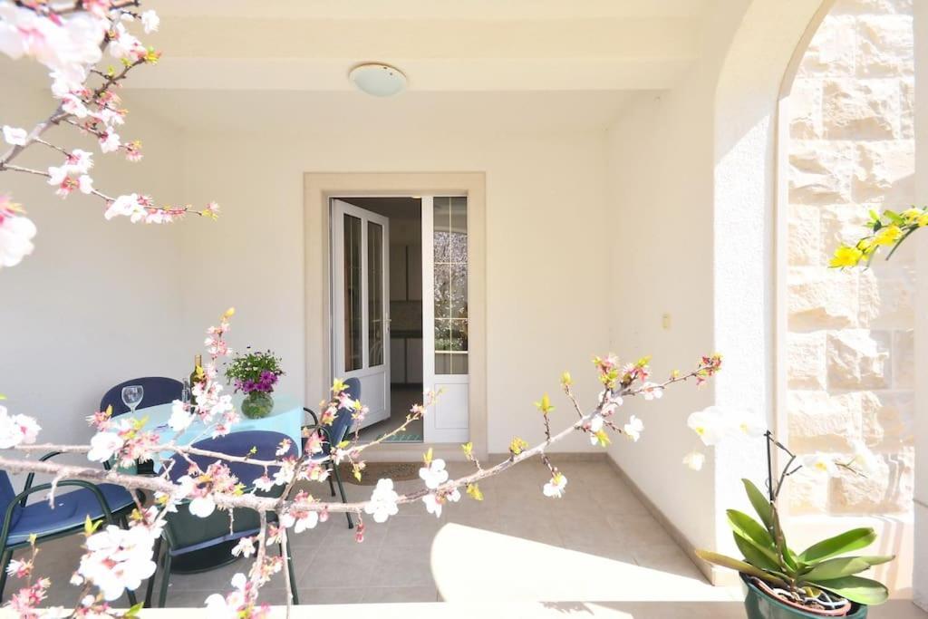 Apartments Regina 볼 외부 사진