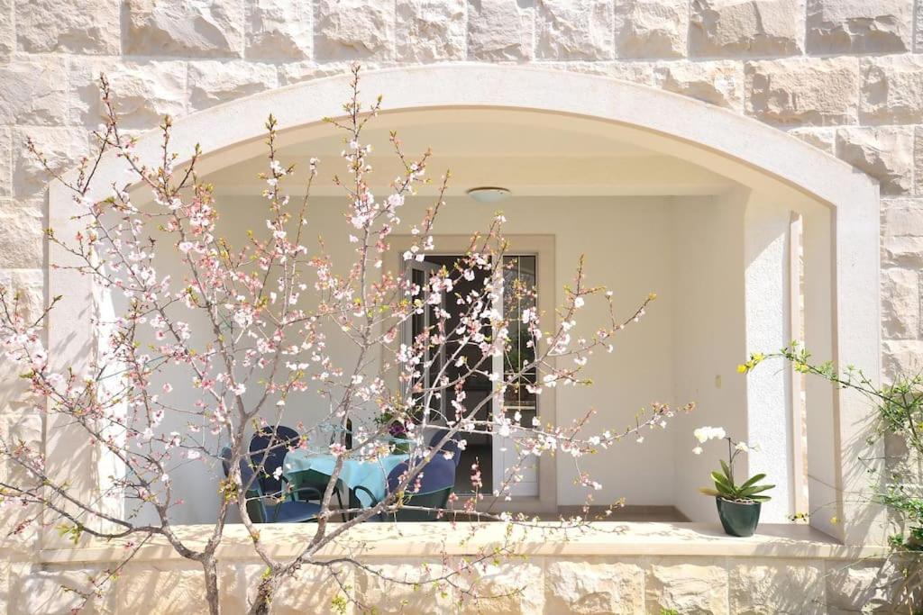 Apartments Regina 볼 외부 사진